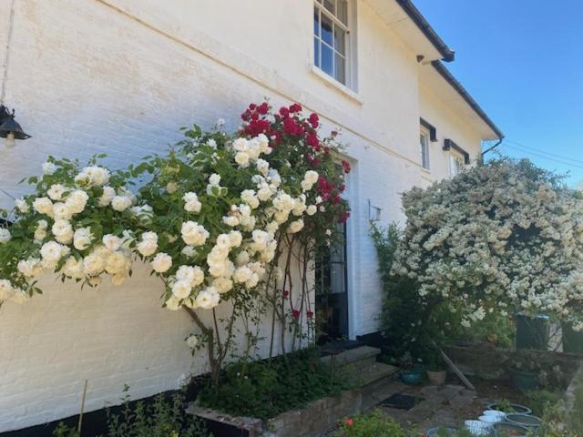 Old Rectory - Scoulton Apartment Great Ellingham ภายนอก รูปภาพ