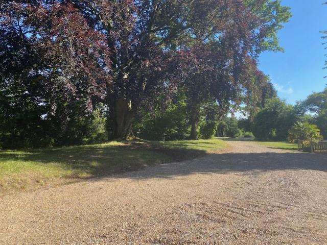 Old Rectory - Scoulton Apartment Great Ellingham ภายนอก รูปภาพ