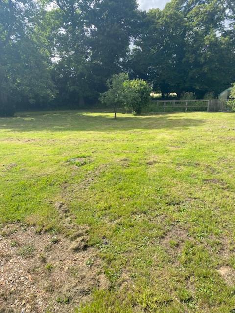 Old Rectory - Scoulton Apartment Great Ellingham ภายนอก รูปภาพ