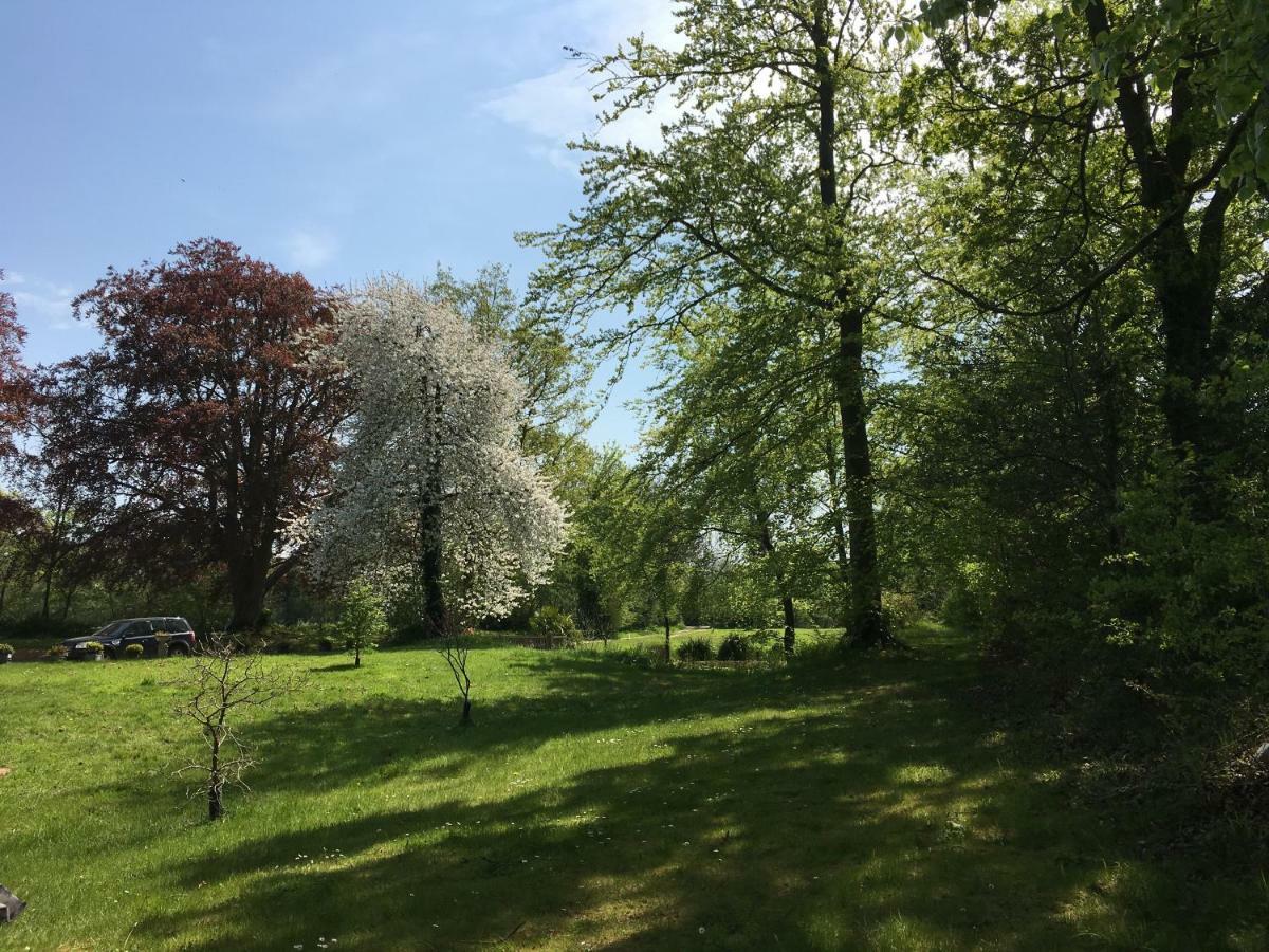 Old Rectory - Scoulton Apartment Great Ellingham ภายนอก รูปภาพ